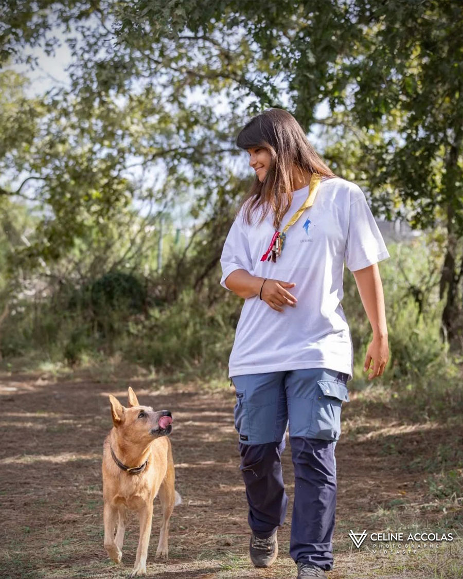 Educateur Canin Bordeaux